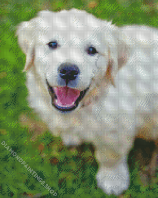 Cute Cream retriever Diamond With Numbers