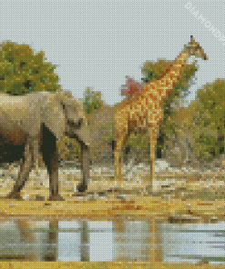 Elephant and giraffes Diamond By Numbers