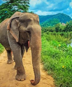 Elephant in Thailand Diamond Dotz