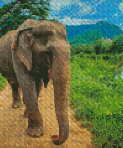 Elephant in Thailand Diamond Dotz