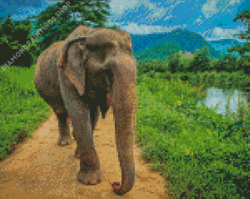 Elephant in Thailand Diamond Dotz