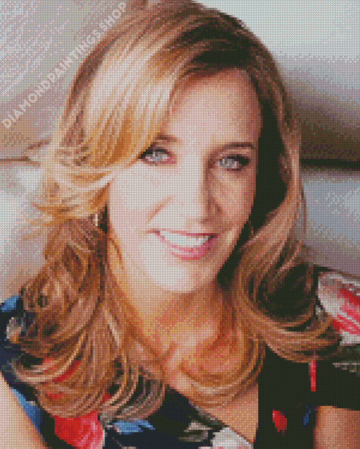 Felicity Huffman Diamond Paintings