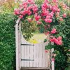 Garden gate pink flowers Diamond Paintings