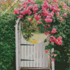 Garden gate pink flowers Diamond Paintings