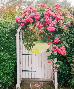 Garden gate pink flowers Diamond Paintings