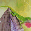 Green Anole lizard Diamond Paintings