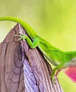 Green Anole lizard Diamond Paintings