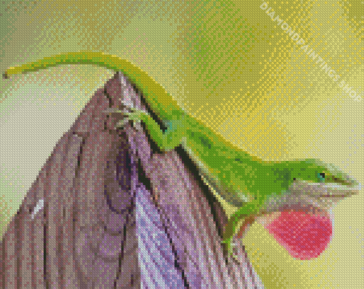 Green Anole lizard Diamond Paintings