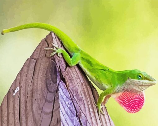 Green Anole lizard Diamond Paintings