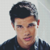 Handsome Taylor Lautner Diamond Paintings