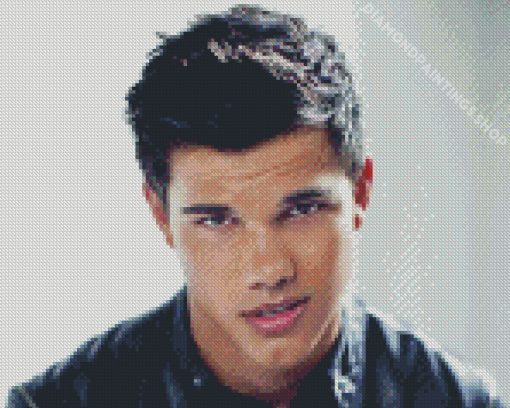 Handsome Taylor Lautner Diamond Paintings