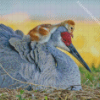 Sandhill crane With Baby Diamond Paintings