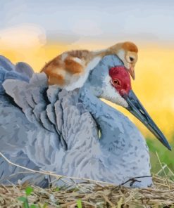 Sandhill crane With Baby Diamond Paintings