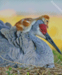 Sandhill crane With Baby Diamond Paintings