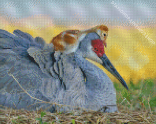 Sandhill crane With Baby Diamond Paintings