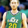 The Basketballer Gordon Hayward Diamond Paints