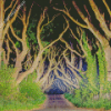 The dark hedges At Night Diamond Paints