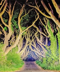 The dark hedges At Night Diamond Paints