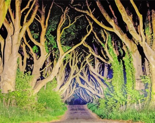 The dark hedges At Night Diamond Paints