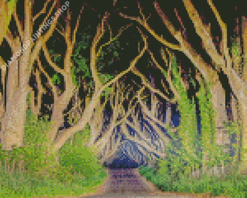 The dark hedges At Night Diamond Paints