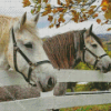 The percherons horses Diamond Paintings