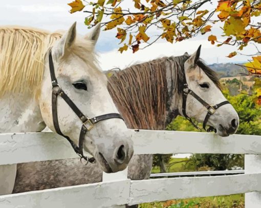 The percherons horses Diamond Paintings