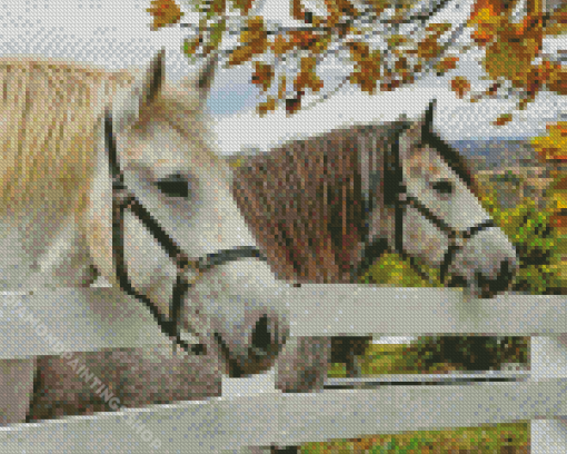 The percherons horses Diamond Paintings