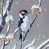 Winter downy woodpecker Diamond Paints