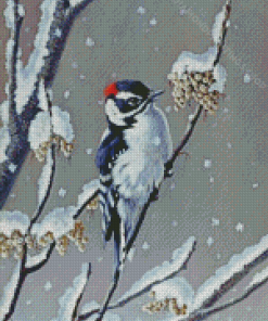 Winter downy woodpecker Diamond Paints