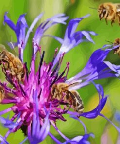 bees on purple flowers Diamond Paintings