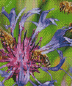 bees on purple flowers Diamond Paintings