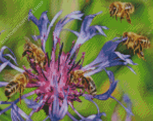 bees on purple flowers Diamond Paintings