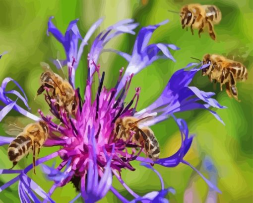 bees on purple flowers Diamond Paintings