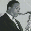 black and white Coltrane saxophonist Diamond Paintings