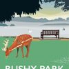 bushy park England Poster Diamond By Numbers