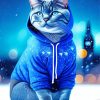 cat in a blue hoodie Diamond With Numbers