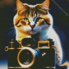 photograph cat Diamond By Numbers