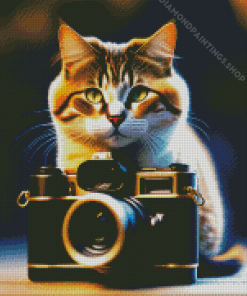 photograph cat Diamond By Numbers