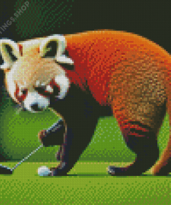 red panda playing golf Diamond Paintings