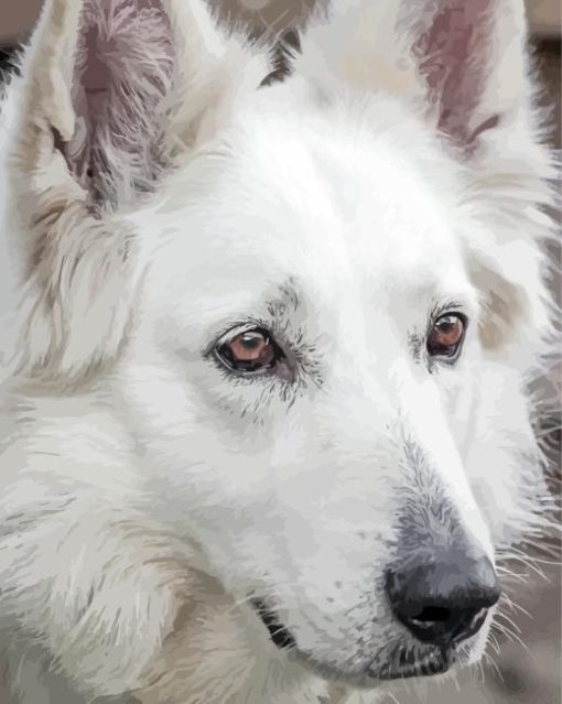 white german shepherd face Diamond Paintings