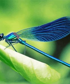 Aesthetic Blue Dragonfly Diamond Paintings