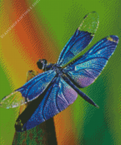 Blue Dragonfly Diamond Paintings