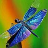 Blue Dragonfly Diamond Paintings