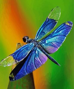 Blue Dragonfly Diamond Paintings