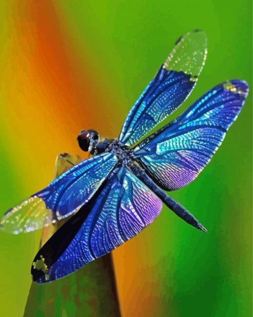 Blue Dragonfly Diamond Paintings