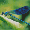 Aesthetic Blue Dragonfly Diamond Paintings