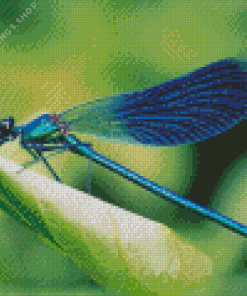 Aesthetic Blue Dragonfly Diamond Paintings