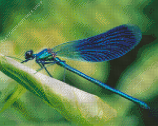 Aesthetic Blue Dragonfly Diamond Paintings