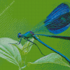 Blue Dragonfly Insect Diamond Paintings