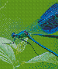 Blue Dragonfly Insect Diamond Paintings